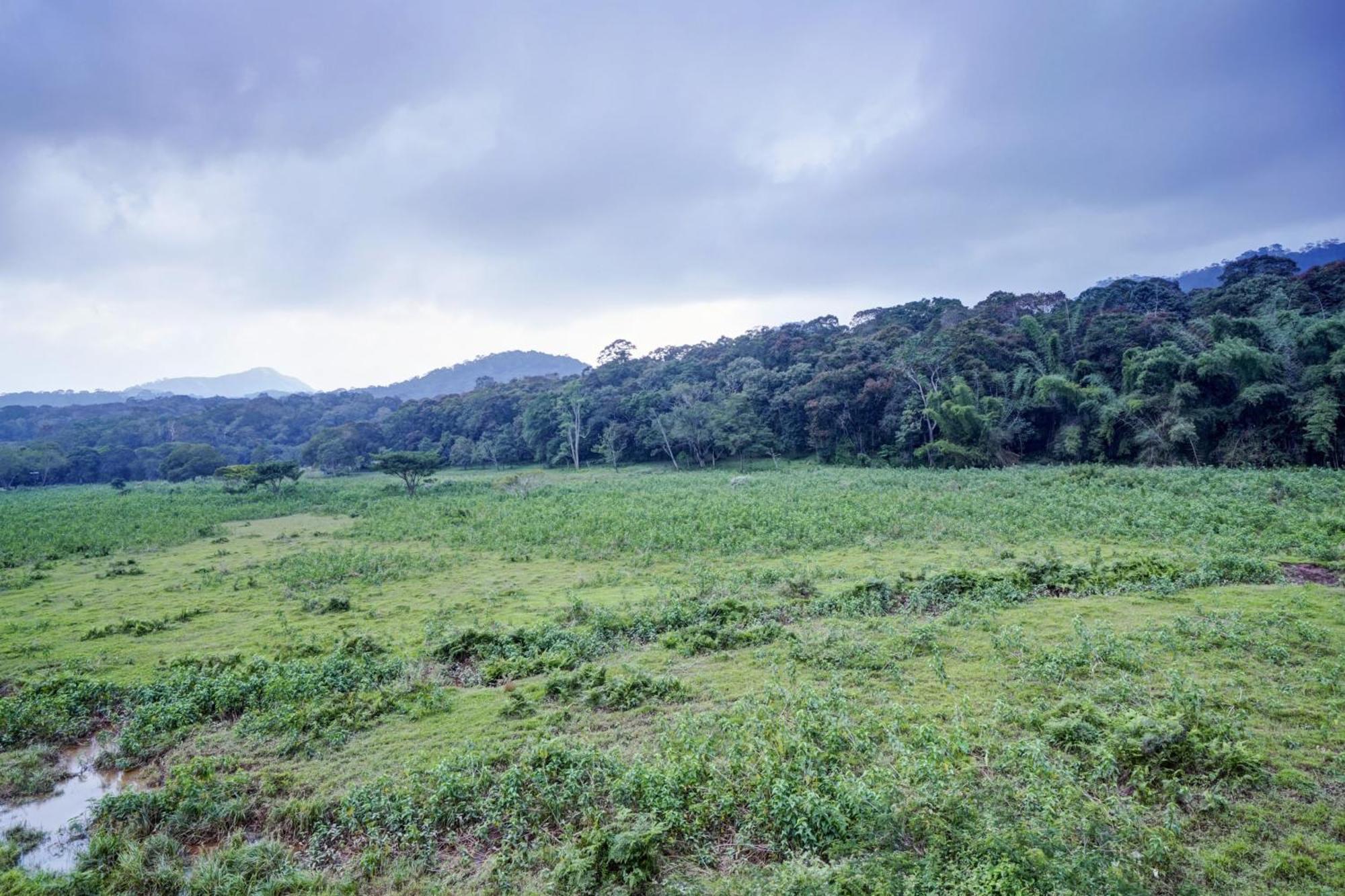 Oyo Flagship Meadow View Inn Thekkady Dış mekan fotoğraf